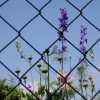 dscn1439
